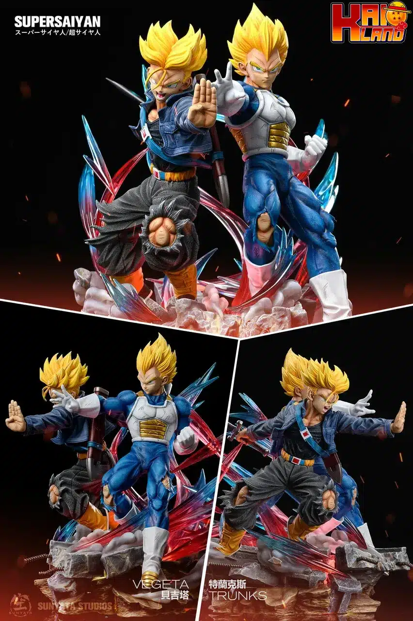 Dragon Ball Sunyata Vegeta Trunks Diorama Resin Statue Kaioland