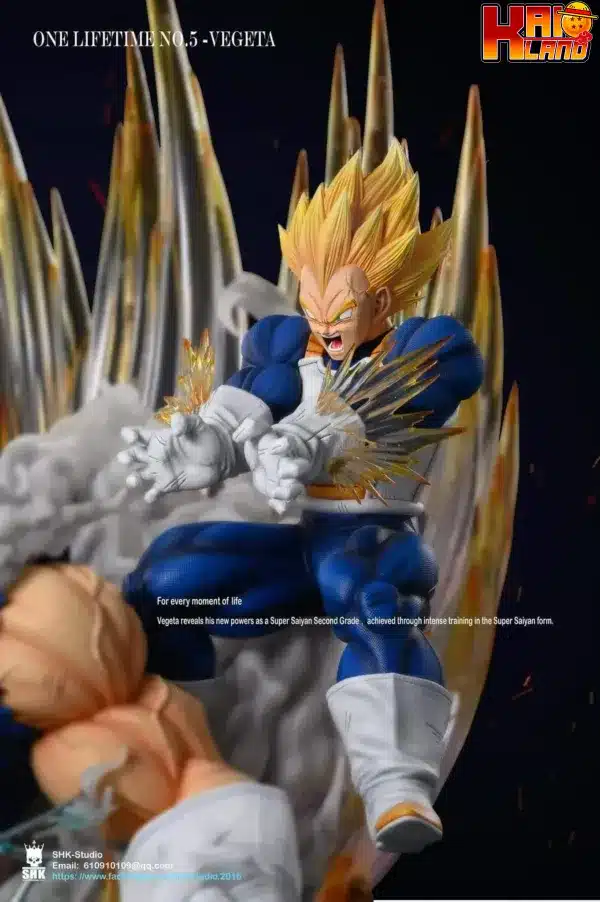 vegeta4 jpg