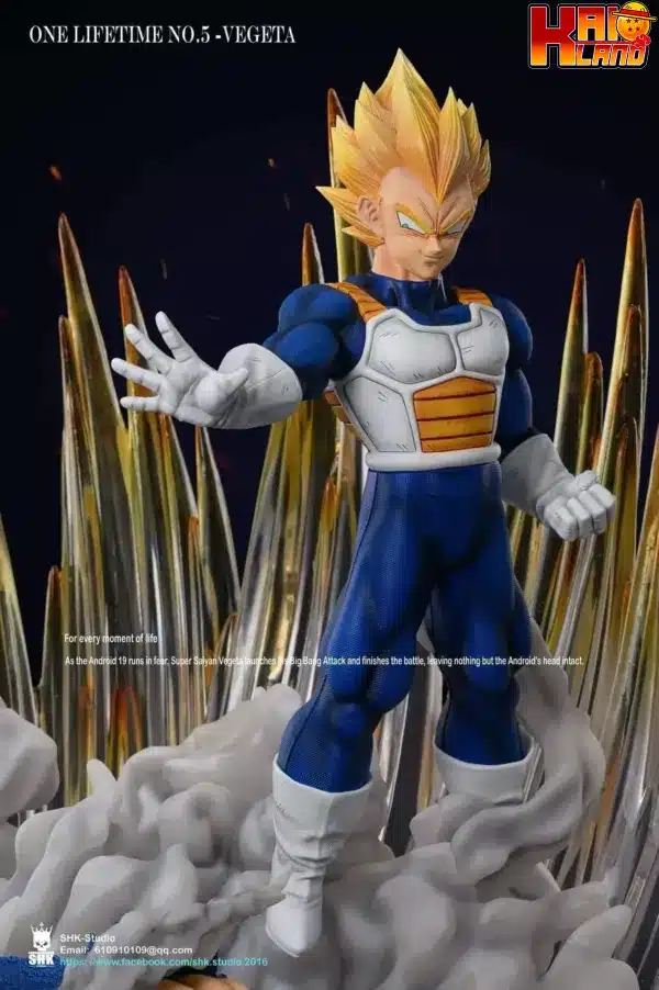 vegeta5 jpg