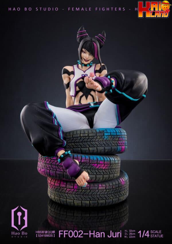 Street Fighter HaoBo Studio Han Juri Resin Statue 1