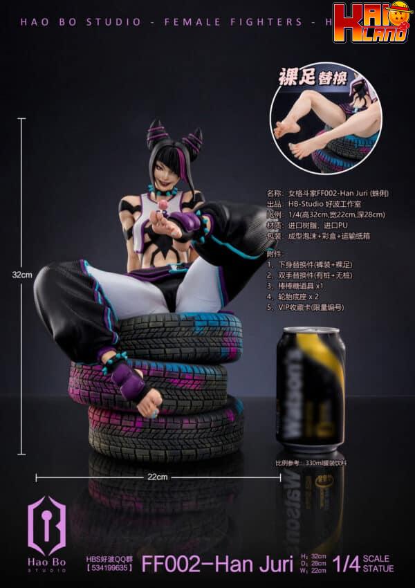 Street Fighter HaoBo Studio Han Juri Resin Statue 3