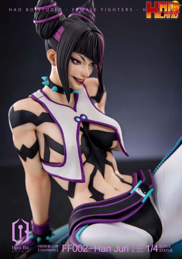 Street Fighter HaoBo Studio Han Juri Resin Statue 4