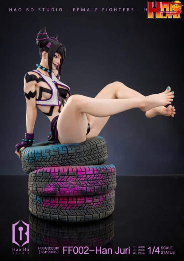 Street Fighter HaoBo Studio Han Juri Resin Statue 5