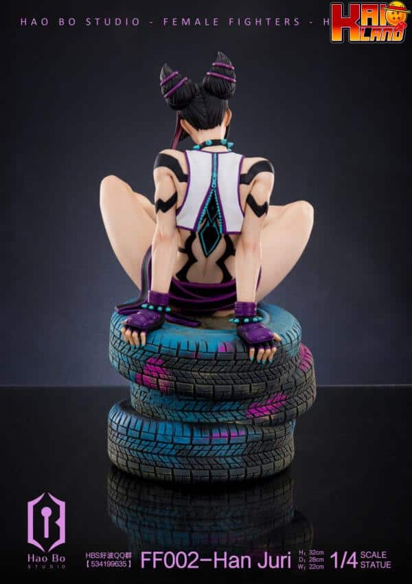 Street Fighter HaoBo Studio Han Juri Resin Statue 8