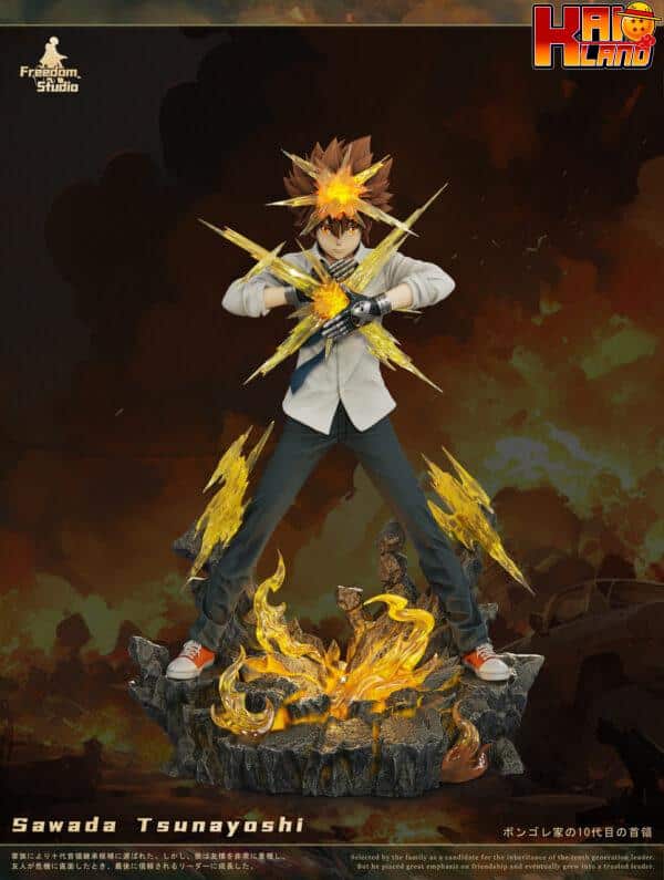 Katekyo Hitman Reborn Freedom Studio Sawada Tsunayoshi Resin Statue 1