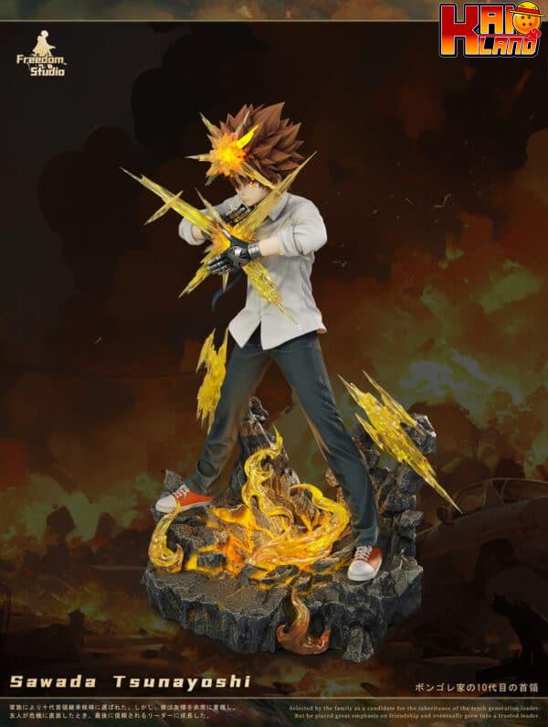 Katekyo Hitman Reborn Freedom Studio Sawada Tsunayoshi Resin Statue 3