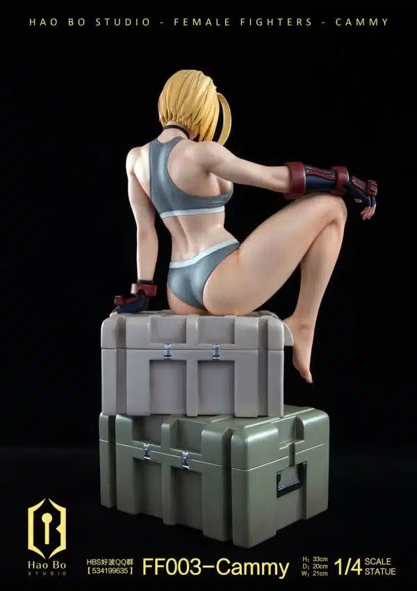 Street Fighter HaoBo Studio Cammy Resin Statue 6 jpg