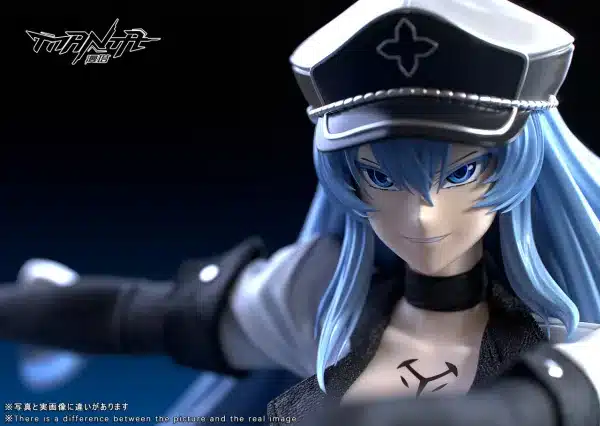 Akame Ga Kill Manta Studio Esdeath Resin Statue 3