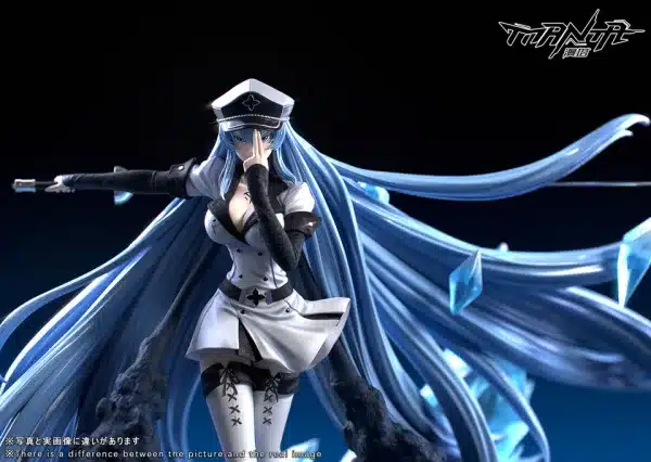 Akame Ga Kill Manta Studio Esdeath Resin Statue 4